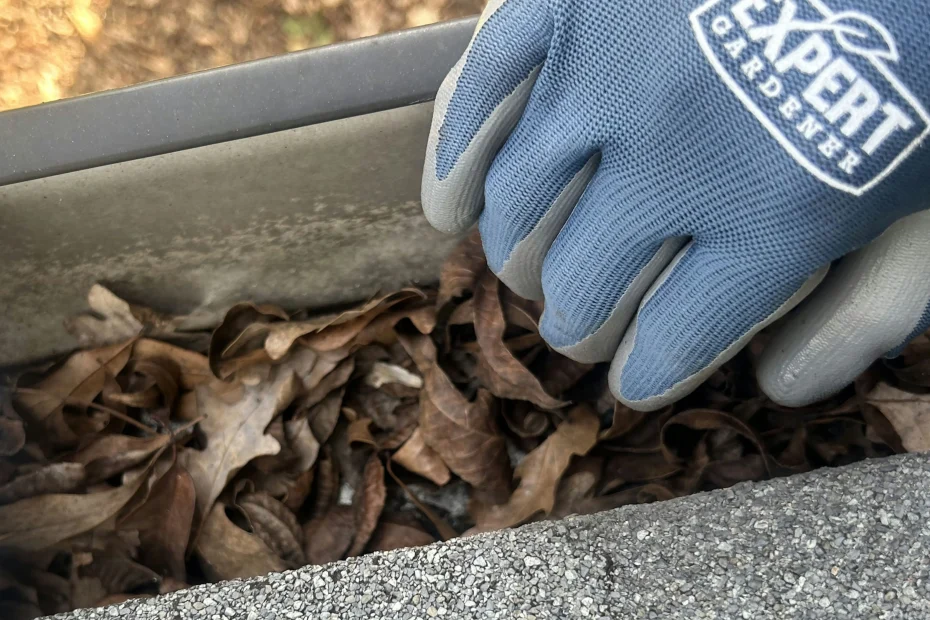 Woodland Park Gutter Cleaning