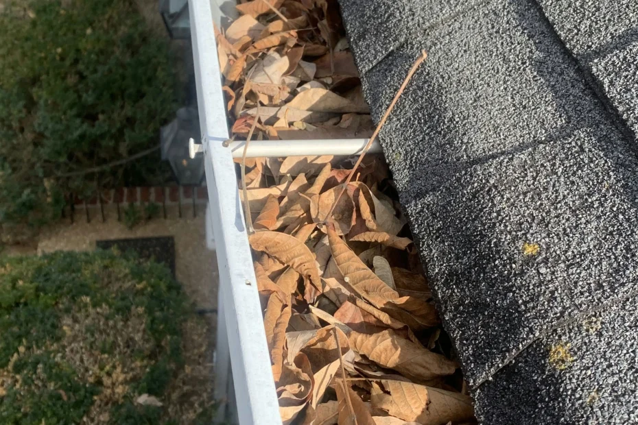 Woodland Park Gutter Cleaning