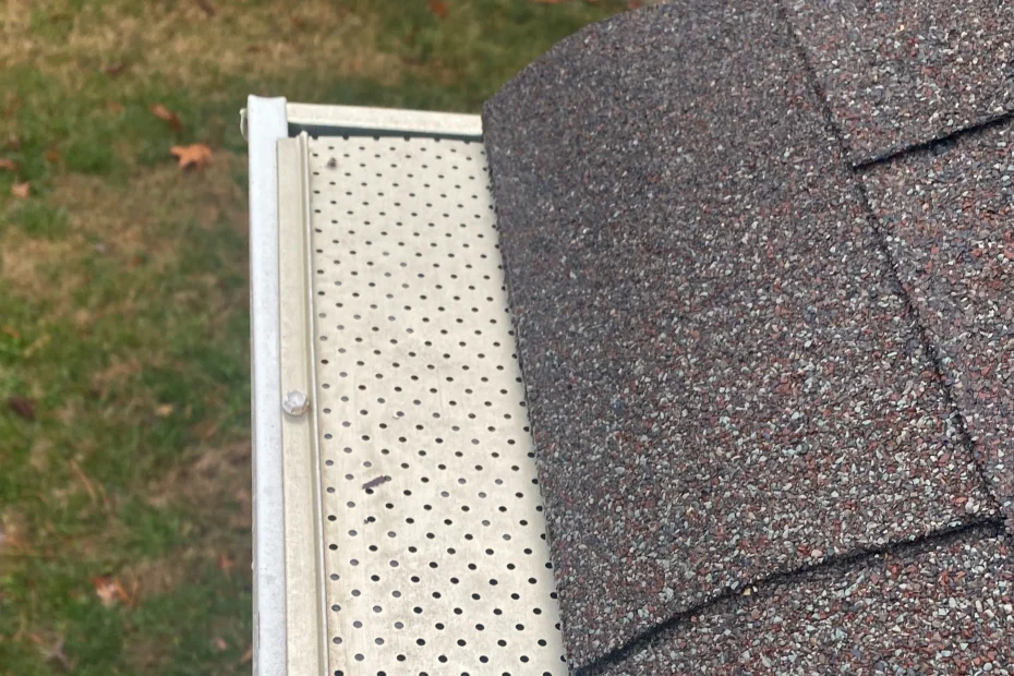 Woodland Park Gutter Cleaning