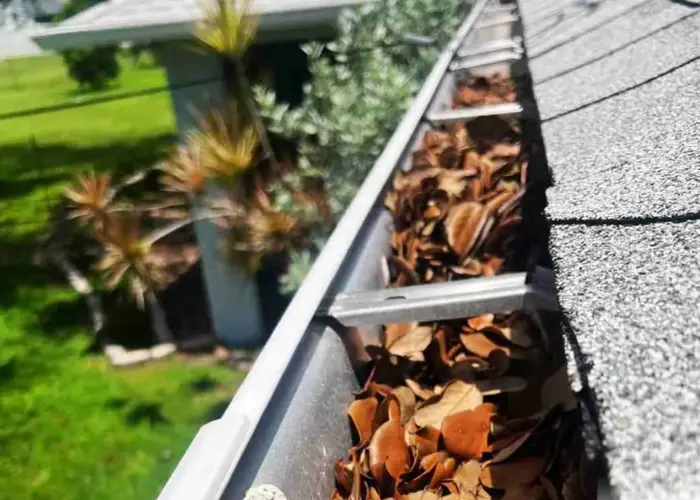 Woodland Park gutter cleaning home page